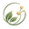 VitaPlena-store.myshopify.com logo